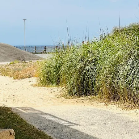 2 A 4 Personnes A 50m De La Daire *