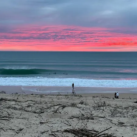 Daire 2 A 4 Personnes A 50m De La *