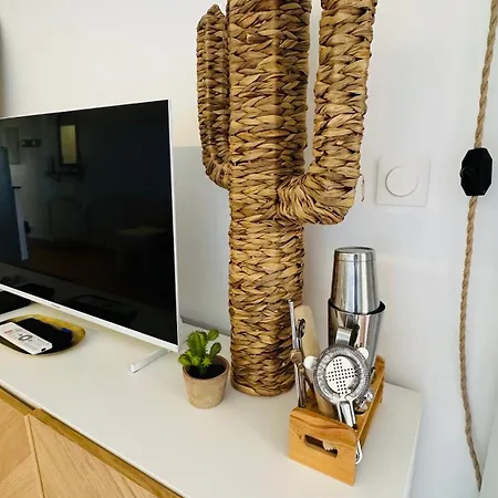 2 à 4 Personnes à 50m De La Appartement Lacanau