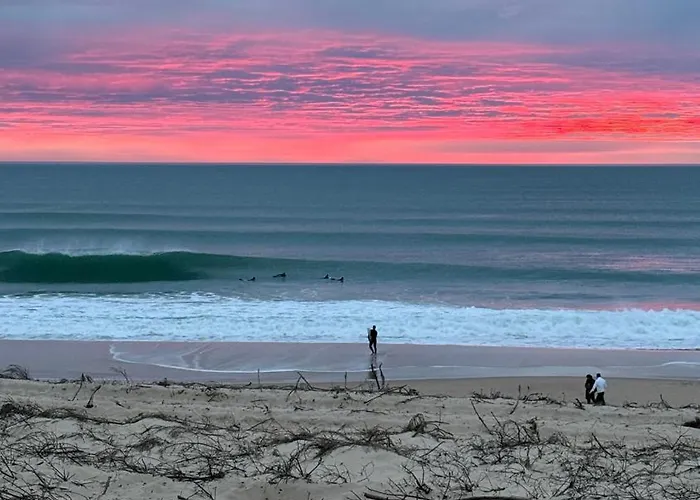 Appartement 2 A 4 Personnes A 50m De La *